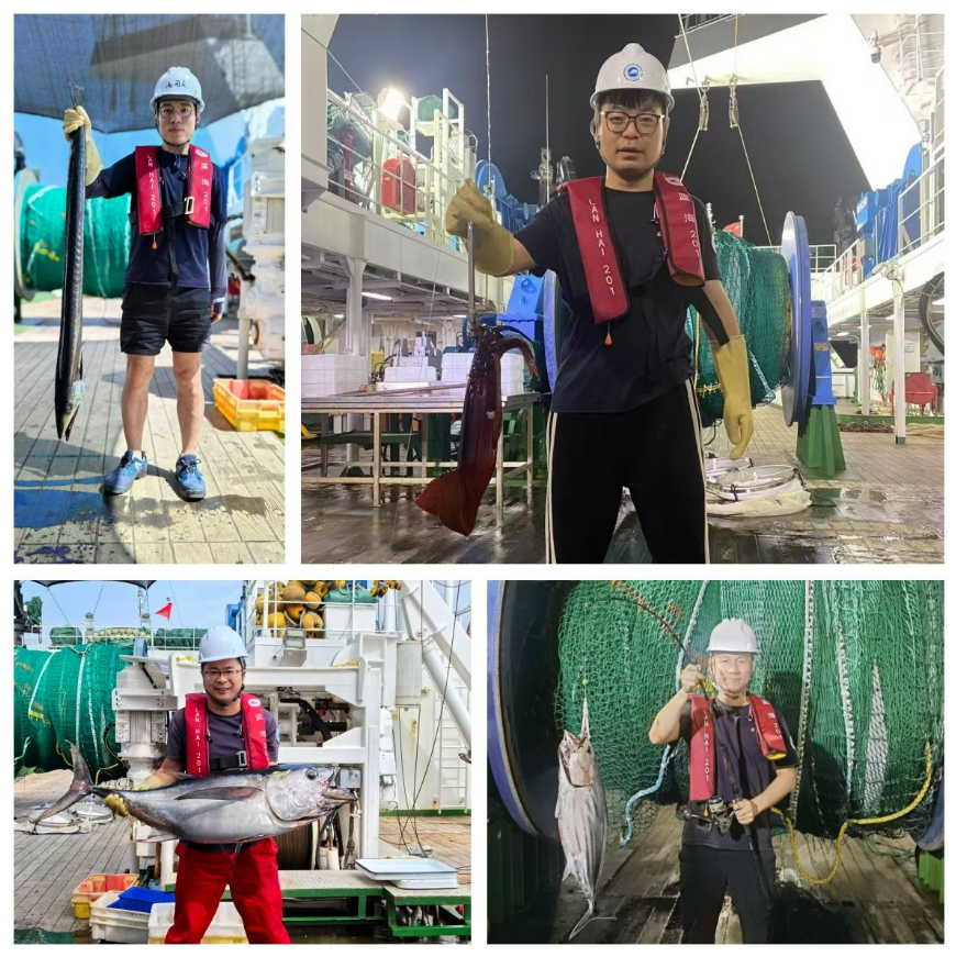海上渔获样本四宫格
