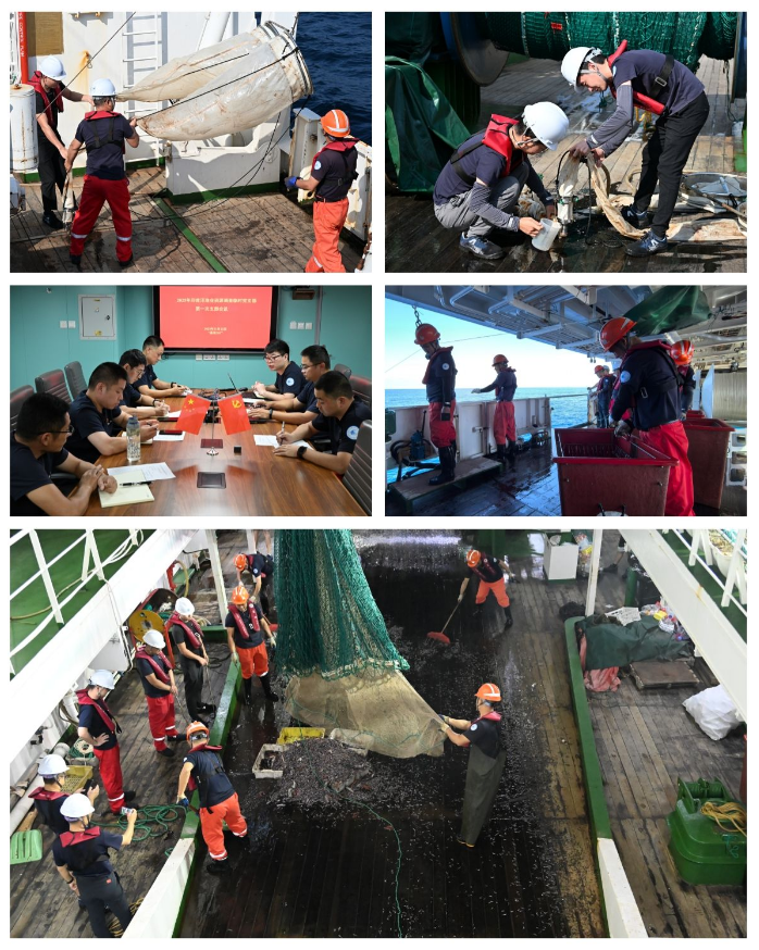 海上科考作业四宫格